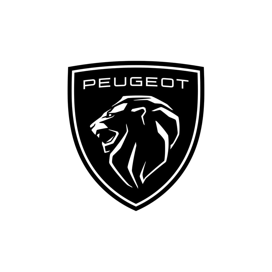 PEUGEOT | 504 | 504 (1980-1981)